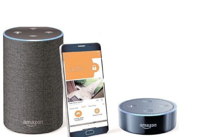 At Rs 4,499, Amazon’s Echo Dot and Google Home Mini are the most affordable smart speakers.