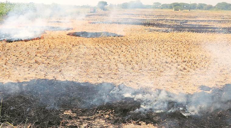 Crop residue burning directly affects Delhi and NCR, among others. (File photo: IE)