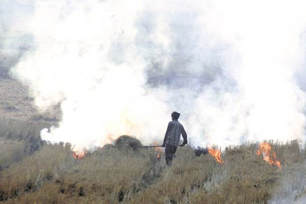 Punjab claims stubble-burning down this season