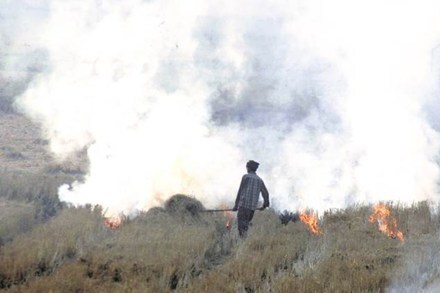 Punjab claims stubble-burning down this season