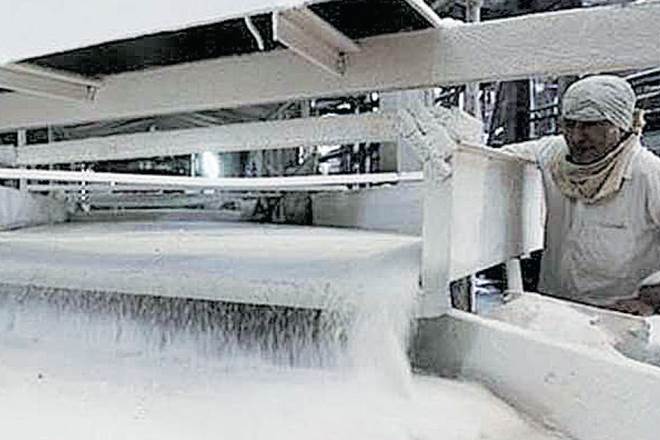 sugar mills, Maha sugar mills, Maharashtra sugar mills, sugar mill licence, Sambhaji Kadu Patil