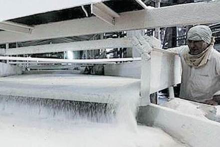 sugar mills, Maha sugar mills, Maharashtra sugar mills, sugar mill licence, Sambhaji Kadu Patil