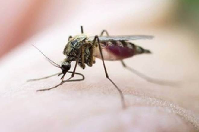 Artificial intelligence boosts drug delivery to eradicate malaria