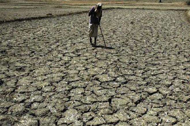 Jharkhand government declares drought in 18 districts (Representational image) Jharkhand government declares drought in 18 districts (Representational image)