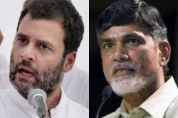 Telangana Assembly elections: N Chandrababu Naidu to campaign with Rahul Gandhi on November 28, 29