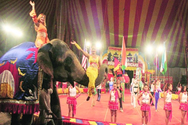 "... it will show the world that India is a progressive, compassionate nation that does not tolerate animal abuse,” said Manilal Valliyate, CEO, People for the Ethical Treatment of Animals (PETA) India (file image) "... it will show the world that India is a progressive, compassionate nation that does not tolerate animal abuse,” said Manilal Valliyate, CEO, People for the Ethical Treatment of Animals (PETA) India (file image)