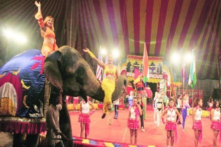 "... it will show the world that India is a progressive, compassionate nation that does not tolerate animal abuse,” said Manilal Valliyate, CEO, People for the Ethical Treatment of Animals (PETA) India (file image)