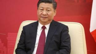 Xi Jinping, china, chinese market, china tariff, domestic consumption of imports, world news