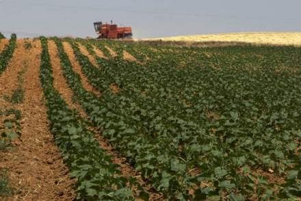 Narendra Modi, Narendra Modi capinet, Union Cabinet, agriculture export,agriculture export policy, economy news Narendra Modi, Narendra Modi capinet, Union Cabinet, agriculture export,agriculture export policy, economy news