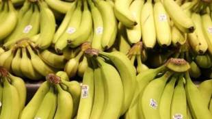 tamil nadu, tamil nadu latest news, tamil nadu important news, tamil nadu news