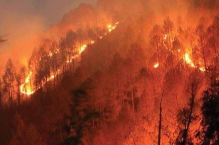 California Wildfire: Number of missing continues to fluctuate