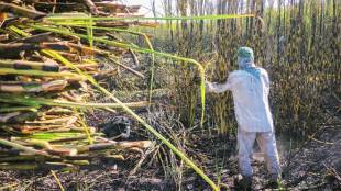 Farm credit, agricultural credit, MSME sector , micro-finance institutions, news, farm loan, Pradhan Mantri Fasal Bima Yojana, PMGBY, loan waiver, farmers loan