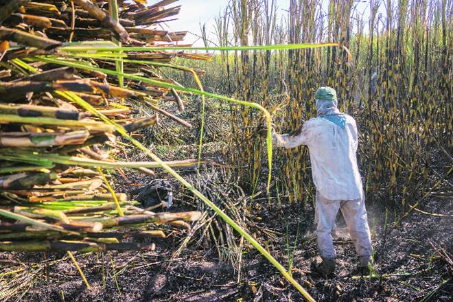 Farm credit, agricultural credit, MSME sector , micro-finance institutions, news, farm loan, Pradhan Mantri Fasal Bima Yojana, PMGBY, loan waiver, farmers loan Farm credit, agricultural credit, MSME sector , micro-finance institutions, news, farm loan, Pradhan Mantri Fasal Bima Yojana, PMGBY, loan waiver, farmers loan