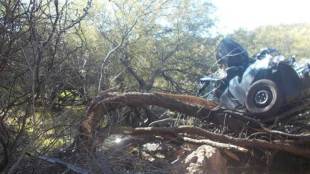 US, Woman, united states, mesquite tree, Arizona, Phoenix, Arizona highway, Arizona highway maintenance crew