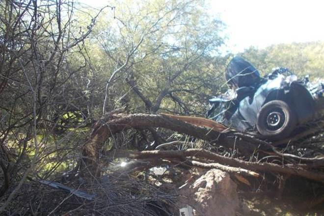 US, Woman, united states, mesquite tree, Arizona, Phoenix, Arizona highway, Arizona highway maintenance crew