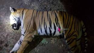 Rahul Gandhi, Harsh Vardhan, killing of tigress, Maneka Gandhi, PETA India