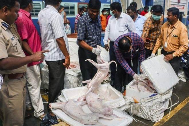 The meat samples were sent to Madras Veterinary College to test if they were dog meat. (PTI)