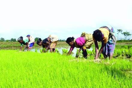 Sluggish technology adoption coupled with low pace of skilling have raised doubts over productivity concerns, thereby adding to woes of farmers.