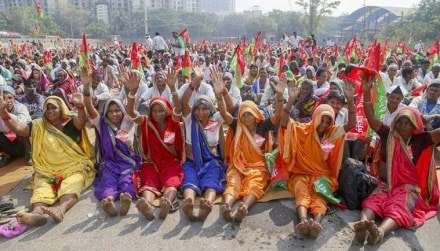 farmers, afarming sector, agriculture industry, agriculture sector farmers, afarming sector, agriculture industry, agriculture sector