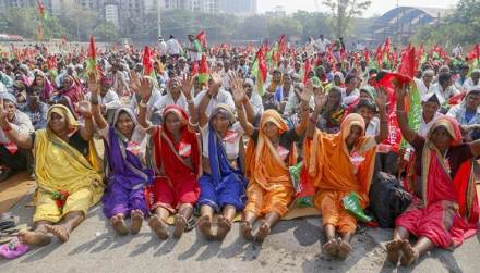 farmers, afarming sector, agriculture industry, agriculture sector farmers, afarming sector, agriculture industry, agriculture sector