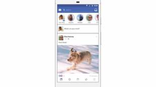 Facebook, Facebook stories, Facebook ads, mark zuckerberg, Facebook revenue, how big is Facebook, Facebook news, Facebook q3 results, Facebook latest news