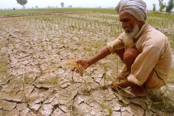 farm loan, Pradhan Mantri Fasal Bima Yojana, PMGBY, loan waiver, farmers loan farm loan, Pradhan Mantri Fasal Bima Yojana, PMGBY, loan waiver, farmers loan