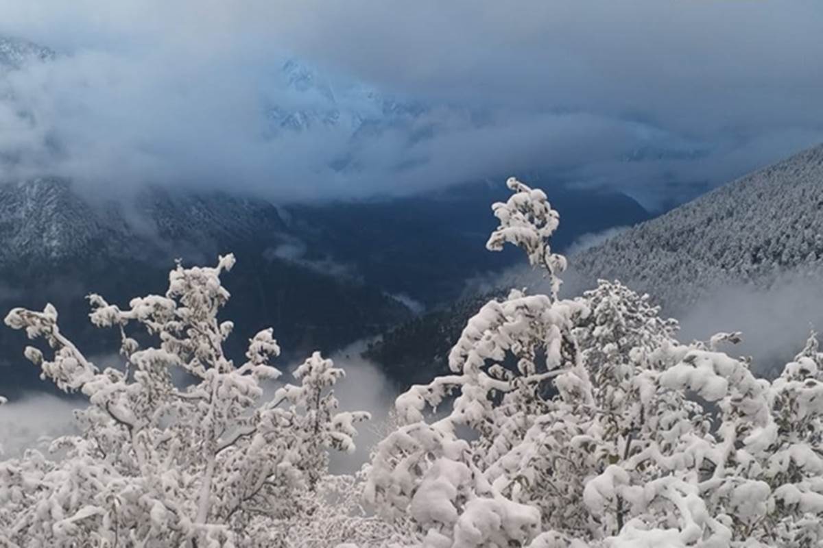 Himachal Pradesh Weather: State reels under severe cold after snow Himachal Pradesh Weather: State reels under severe cold after snow