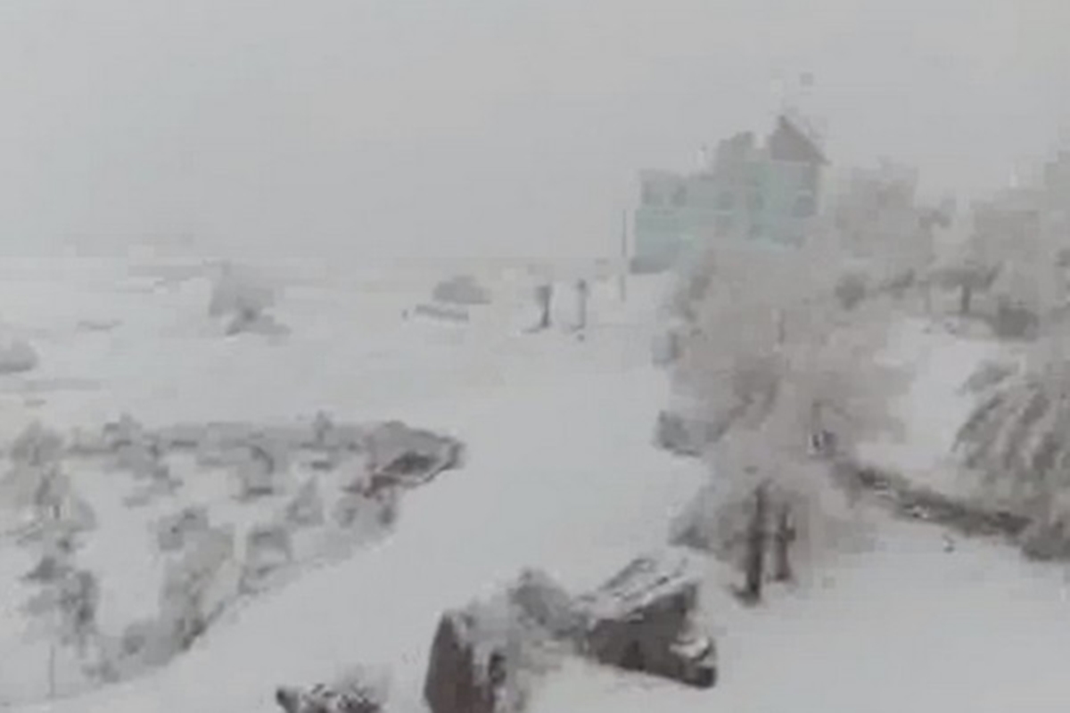 Jammu and Kashmir: State government declares November snowfall as ‘Special Natural Calamity’ Jammu and Kashmir: State government declares November snowfall as ‘Special Natural Calamity’