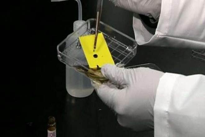 It sends electrons through narrow air gaps instead of sending them through silicon, Xinhua quoted lead author Shruti Nirantar from the Royal Melbourne Institute of Technology as saying.