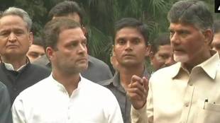 RAHUL GANDHI, rahul gandhi chandrababu naidu, naidu rahul gandhi, congress tdp, congress telugu desham party alliance news, rahul gandhi chandrababu naidu alliance
