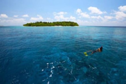 Textile microfibres from washing machines accumulating in ocean floors Textile microfibres from washing machines accumulating in ocean floors