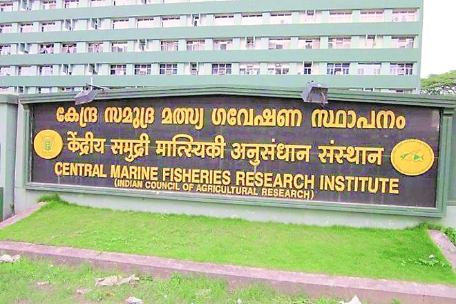 ocean, indian ocean ocean, indian ocean