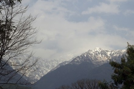 The snow-clad Dhauladhar mountain range after the season's first snowfall in Himachal Pradesh's Palampur on Saturday. (IANS)