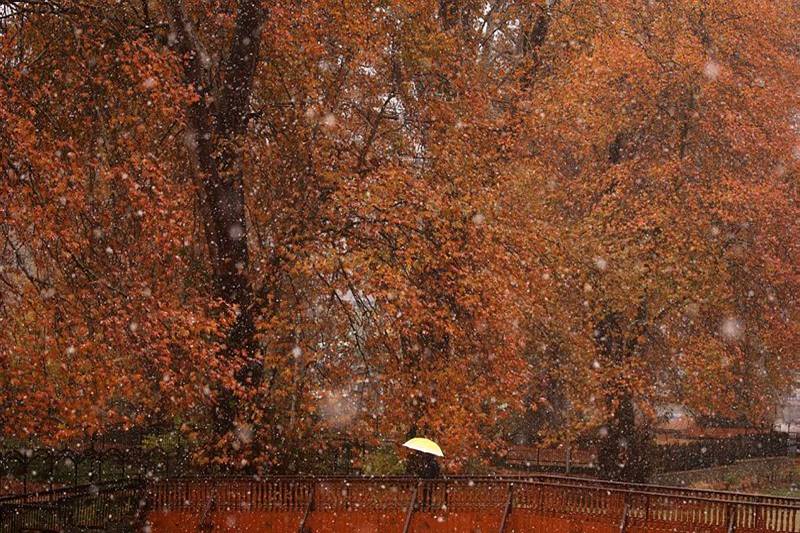 snowfall in kashmir, jammu kashmir showfall, manali, jammu snowfall pics, season first snowfall in kashmir, snowfall pics of himachal pradesh