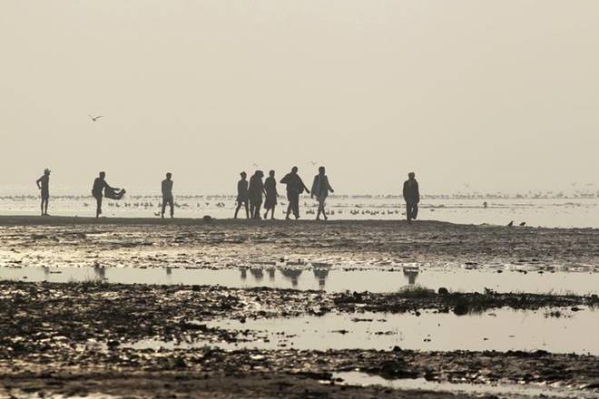 National Mission for Clean Ganga, NMCG, Sewage projects, Renovation of Agra Sewerage Scheme, Rehabilitation National Mission for Clean Ganga, NMCG, Sewage projects, Renovation of Agra Sewerage Scheme, Rehabilitation