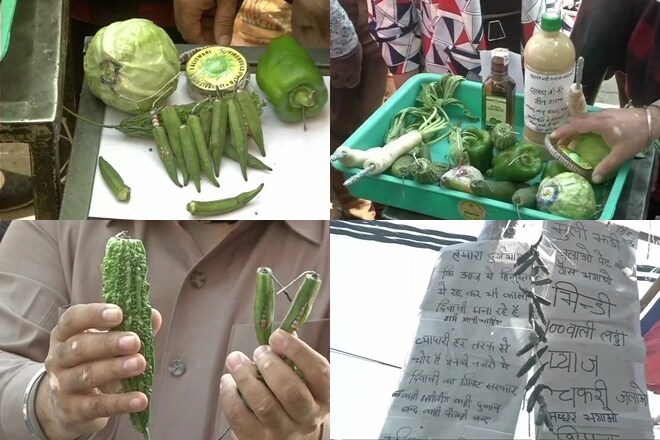 Green crackers made by the sadar bazar traders (ANI)