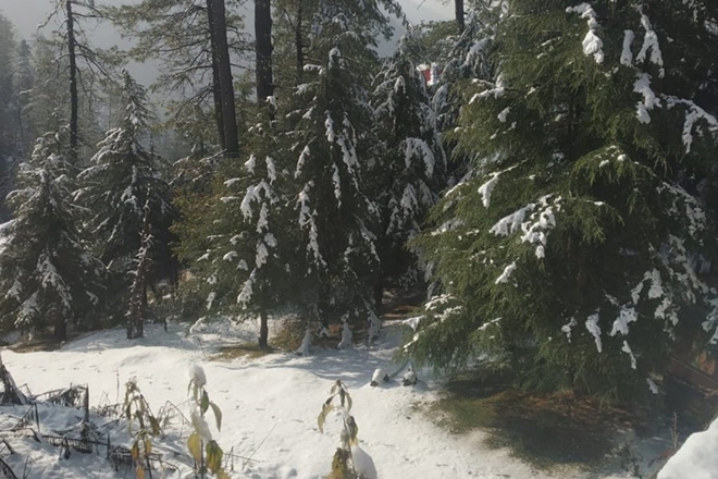 Uttarakhand weather: Hills received snowfall with light rains Uttarakhand weather: Hills received snowfall with light rains
