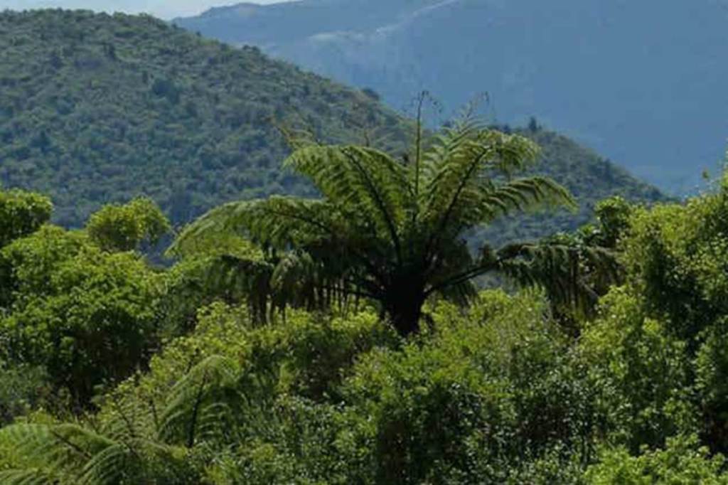 World’s last wilderness may vanish due to human activity: Study World’s last wilderness may vanish due to human activity: Study