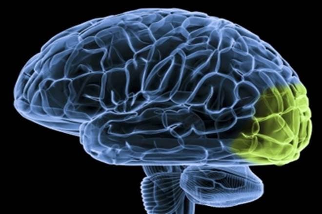 China aims at detailed 3D map of human brain (Representational image)
