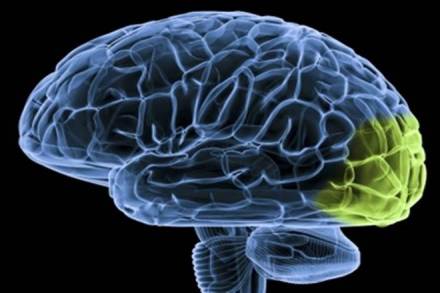 China aims at detailed 3D map of human brain (Representational image)