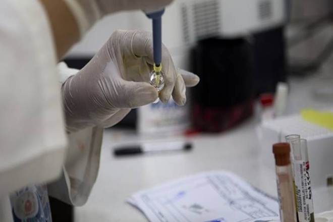 For the study, the team compared the effectiveness of anti-influenza reaction of the siRNA drugs using a polycationic carrier, liposomes and hybrid microcapsules.