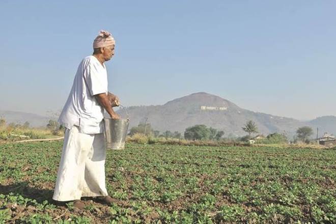 Agricultural reform: How to boost farmer income Agricultural reform: How to boost farmer income