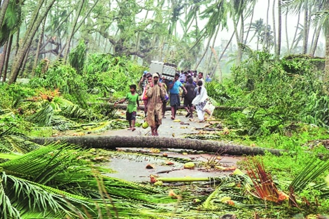 Himachal Pradesh, Kerala and Tamil Nadu have been ranked the highest in terms of being on track to achieve the United Nations’ Sustainable Development Goals (SDG).