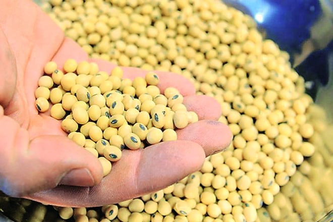 According to SEA, prior to the ban in 2012, China used to import nearly half a million tonne of oilmeals — rapeseed meal 3.5-4 lakh tonne, and 1 lakh tonne of soybean meal — from India. According to SEA, prior to the ban in 2012, China used to import nearly half a million tonne of oilmeals — rapeseed meal 3.5-4 lakh tonne, and 1 lakh tonne of soybean meal — from India.