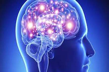 How our brain enables us to rapidly focus attention (Representational Image)