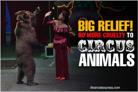The Mexico city's legislator's famous words as she introduced the bill is that it "isn't in a bear's nature to wear roller skates or in the elephant's nature to sit on a stool.'' 