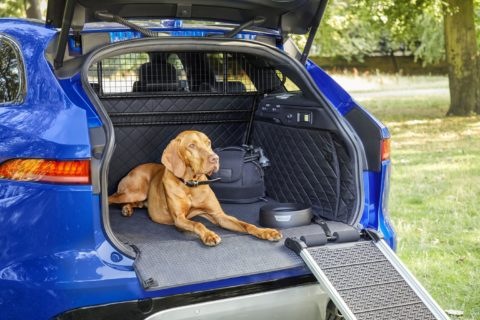 Jaguar launches pet-friendly accessories: Safest, most stress free experience for your pets!