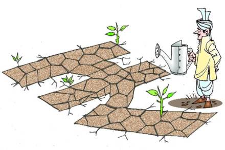 agriculture sector, agriculture industry