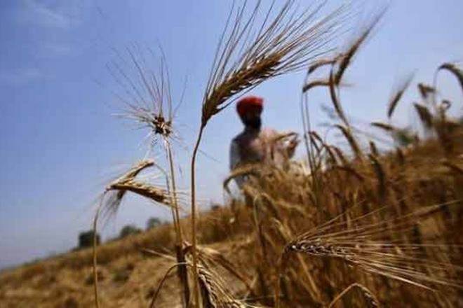 Union Agriculture Minister Radha Mohan Singh and MoS Gajendra Shekhawat have held a series of meeting with officials and mulled several alternatives.