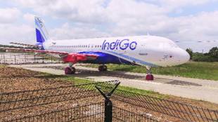 indigo, aviation sector, aviation industry